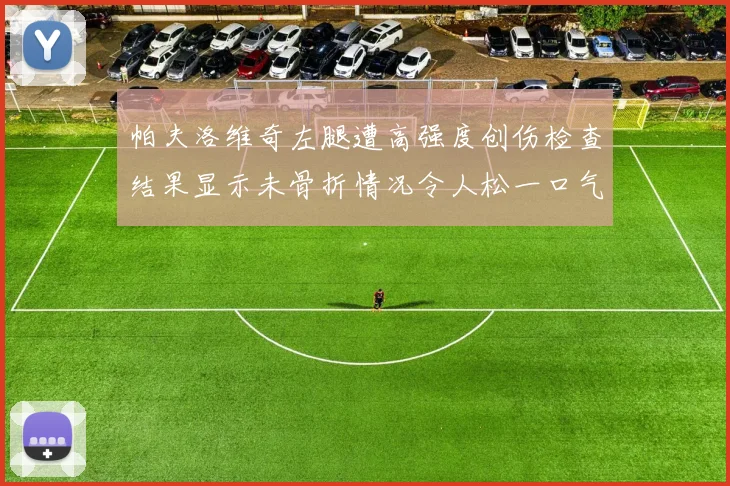 帕夫洛维奇左腿遭高强度创伤检查结果显示未骨折情况令人松一口气
