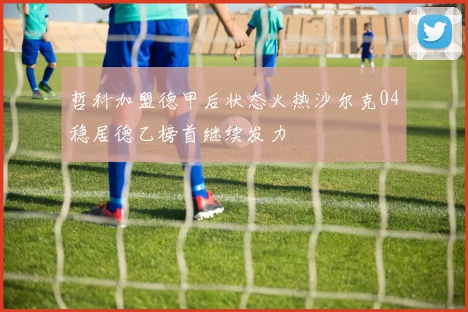 哲科加盟德甲后状态火热沙尔克04稳居德乙榜首继续发力